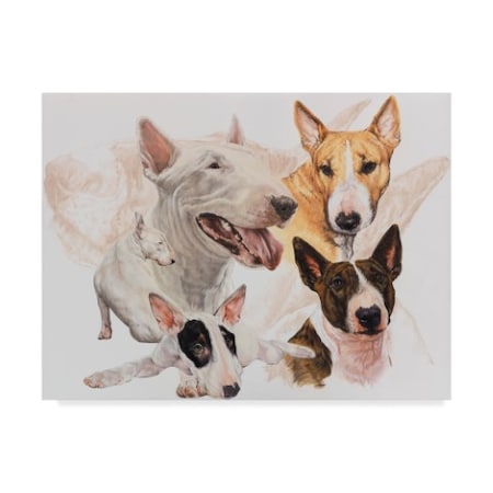 Barbara Keith 'Bull Terrier With Ghost Image' Canvas Art,24x32